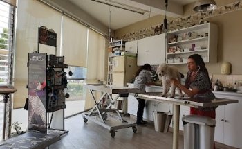Veterinary clinic Dr. H. Mondragón