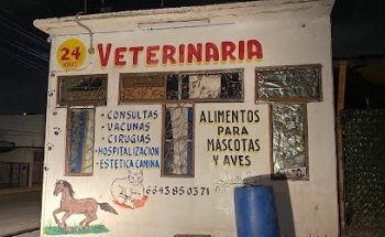 Veterinaria 24hrs