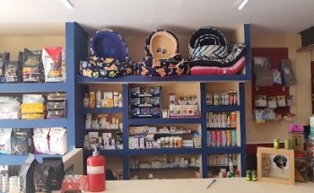 CLINICA VETERINARIA CONSULVET