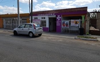 Ohana Servicios Veterinarios