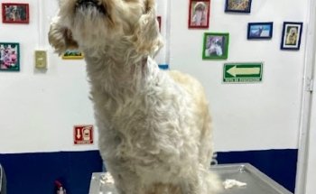 Veterinaria Las Mascotas de Tlalpan