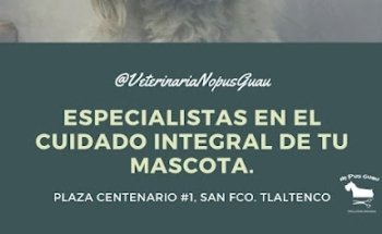 Veterinaria nopusguau