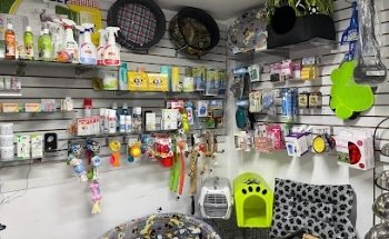 Consentidogs Veterinaria - Estética Canina - Boutique