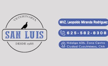 Veterinaria San Luis