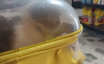 Milmascotas Centro de Servicios Veterinarios