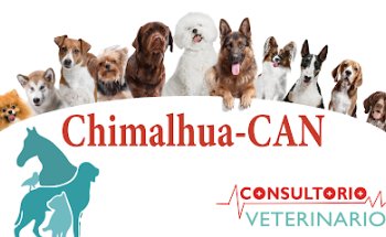Consultorio Veterinario Chimalhua-Can