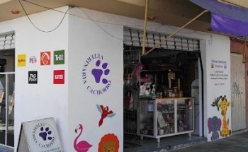 VETERINARIA CACHORRO