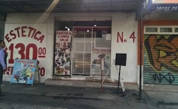 Estética Canina Sinaí