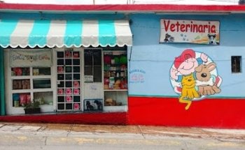 Veterinaria Tepalcapa