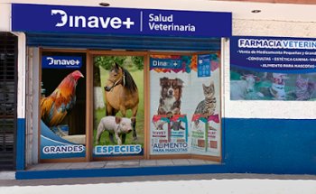 Dinavet sucursal Silao