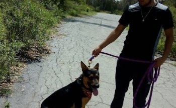 Forrajera y Avícola Veterinaria Mundo Ecuestre