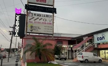 Icat veterinaria especialista en gatos