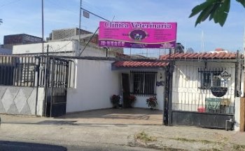 Clinica Veterinaria Master Dog