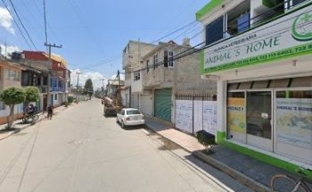 Clinica Veterinaria Animal´s Home