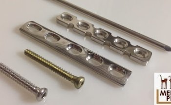 Veterinary Hospital Medipet