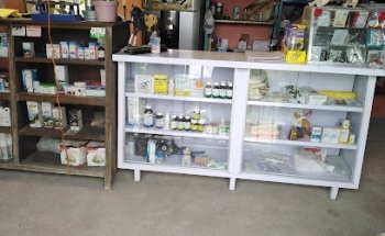 Veterinaria jaloxtoc