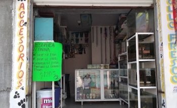 Acuario,mascotas y estética canina D'Pelos