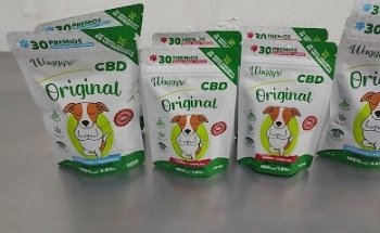 Veterinary The Palomino