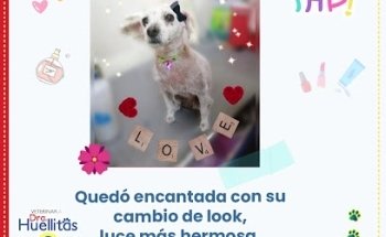 Veterinaria Dra. Huellitas - Matriz