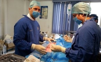 Hospital Veterinario Orejas