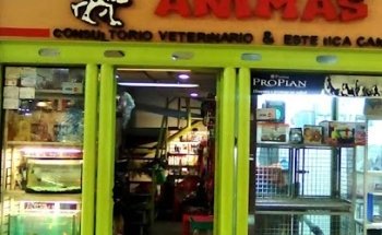 Veterinaria estética Canina Pets Animas