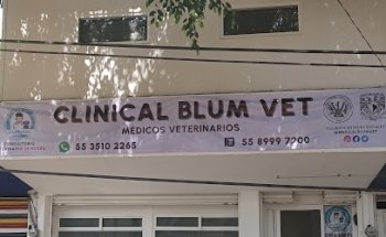 Clinical Blum Vet