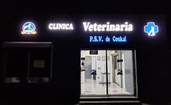 clinica veterinaria psv de conkal