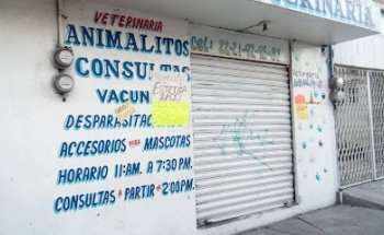 VETERINARIA ANIMALITOS
