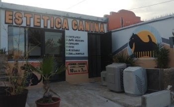 ESTÉTICA CANINA
