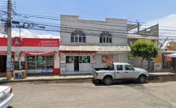 veterinaria mi mascota