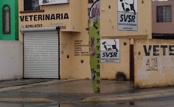 Servicios Veterinarios Santa Rosa