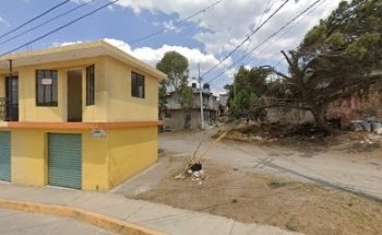 Salud y Bienestar Animal