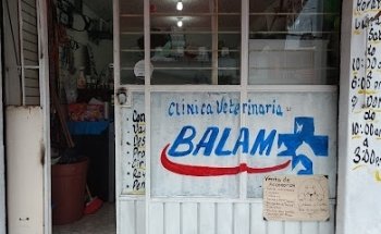 Consultorio Veterinario Balam