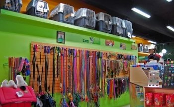 Petterra | Veterinary Hospital