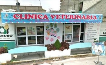 Clinica Veterinaria