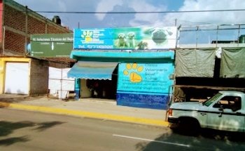 Veterinaria Salud Animal