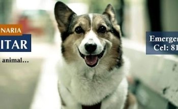 Veterinary Clinic Albéitar