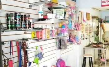 Consultorio veterinario Solvet