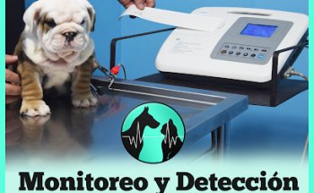 Centro Veterinario de Especialidades