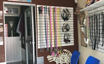 Consuntorio Veterinario Ticyolcani