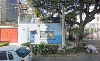 Estetica y veterinaria canina 