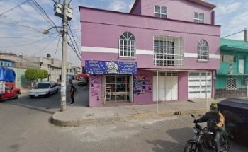 Estetica Canina Mundo Perron