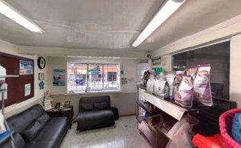 Dogtors Clínica Veterinaria