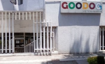 Veterinaria Goodog