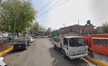 Veterinaria Dog Tor Cat