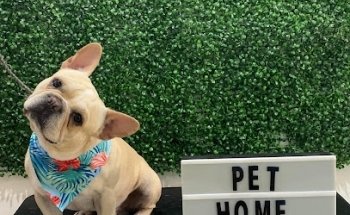 Centro Veterinario Pet Home