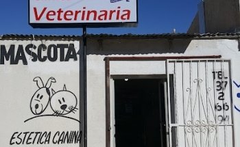 Central de mascotas Clinica Veterinaria Caborca