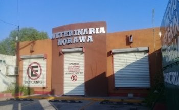 Veterinaria Norawa