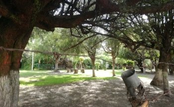 VETERINARIA Y ESTETICA CANINA