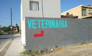 Veterinaria Animal House